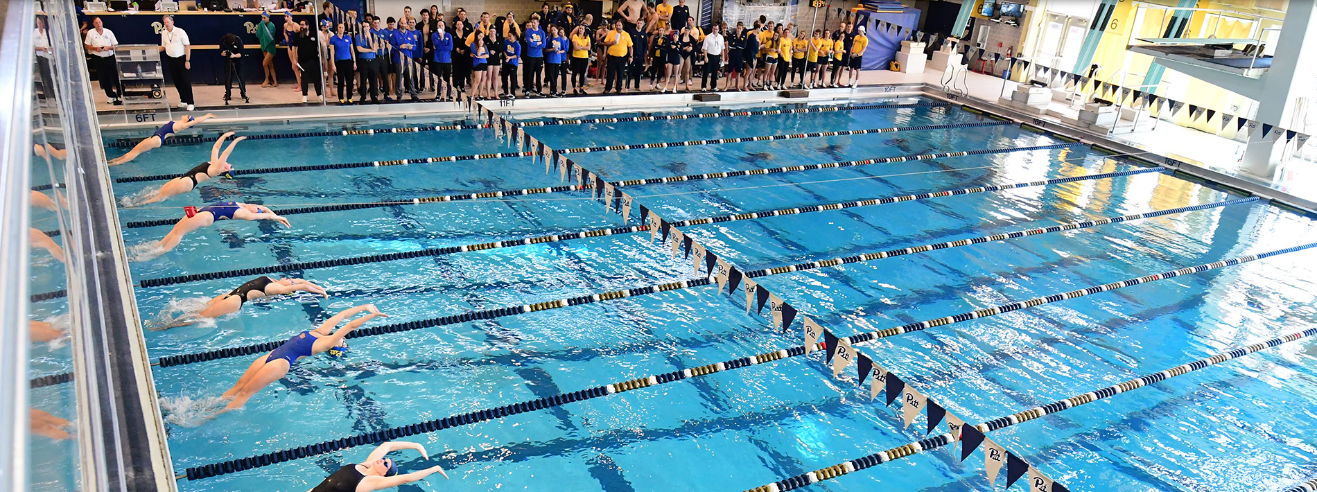 Pitt Swimming Camps at University of Pittsburgh Pittsburgh, PA